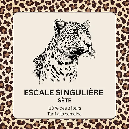 Daire Escale Singuliere - Balneo, Patio Et Confort 4 Etoiles