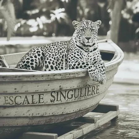 Escale Singulière - Luxe&balnéo à *